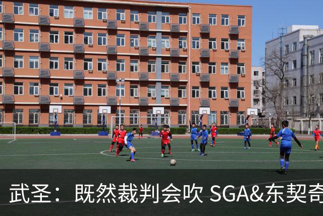武圣：既然裁判会吹 SGA&东契奇为何不造犯规？演技也是一种球商